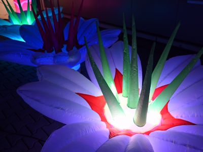 LED Dekoration mieten